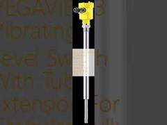 VB63.XXAGDRKMX VEGAVIB 63 Granüler toplu katı maddeler için boru uzantısı ile titreşim seviyesi anahtarı