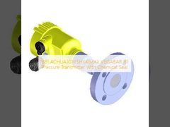 B81.ACHUA1GWSHXKIMXX VEGABAR 81 Kimyasal mühürlü basınç verici